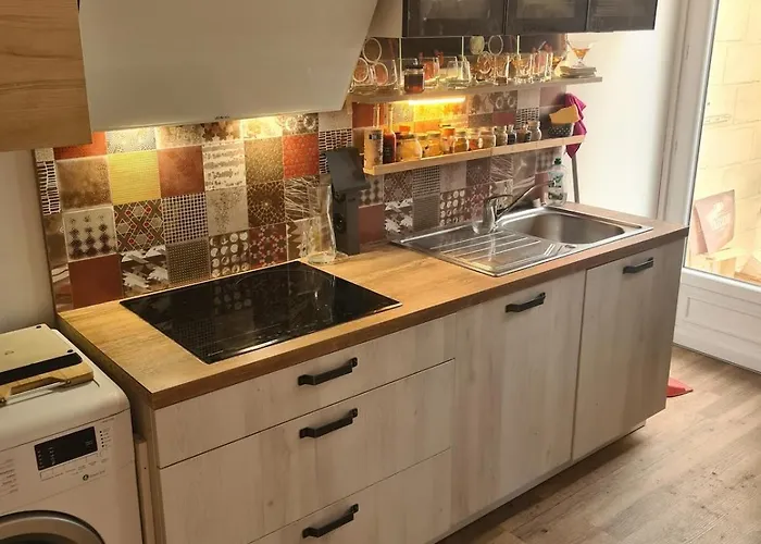 Maison Jardin Des Plantes Villa Rouen